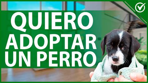 como adoptar un bebe en chile|¡Quiero adoptar!